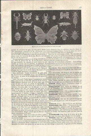 LAMINA ESPASA 37574: Estilizacion de insectos en gasa