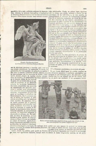 LAMINA ESPASA 37614: El genio, escultura de Querol
