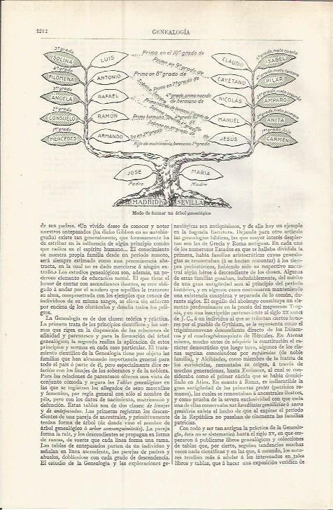 LAMINA ESPASA 37610: Modelo de arbol genealogico