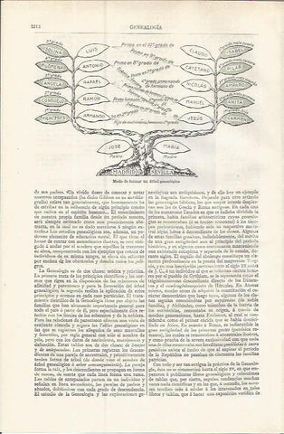 LAMINA ESPASA 37610: Modelo de arbol genealogico