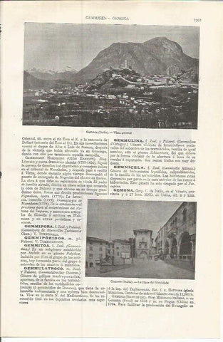 LAMINA ESPASA 37609: Vista y plaza de Gemona, Italia