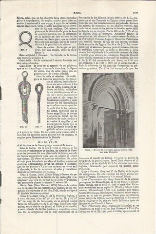 LAMINA ESPASA 37597: Mezquita de Gaza