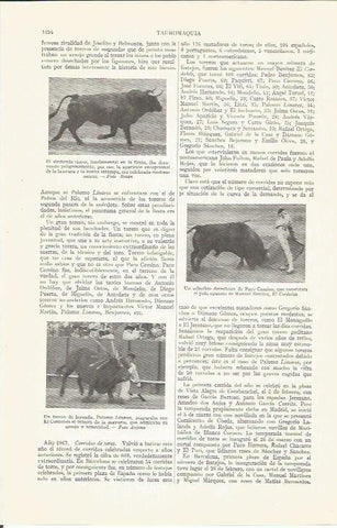 LAMINA ESPASA 37363:  Palomo Linares y Paco Camino