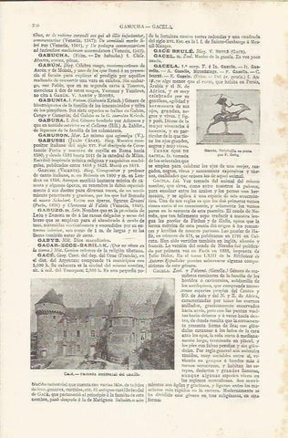 LAMINA ESPASA 37435: Castillo de Gace, Francia