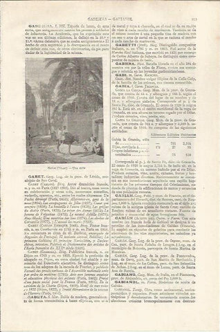 LAMINA ESPASA 37431: Calle de Gabes, Tunez