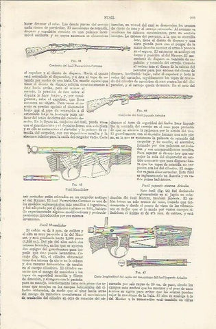 LAMINA ESPASA 37421: Tipos de fusil