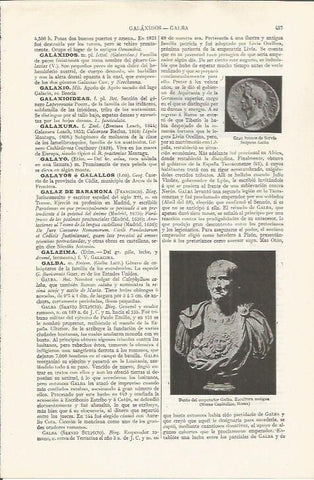 LAMINA ESPASA 37464: Busto del emperador Galba
