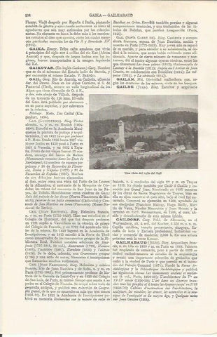 LAMINA ESPASA 37453: Valle del Gail, Austria