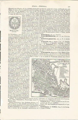 LAMINA ESPASA 37413: Plano de Furth, Alemania