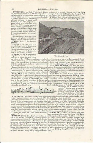 LAMINA ESPASA 37411: Paso de Furka, Suiza
