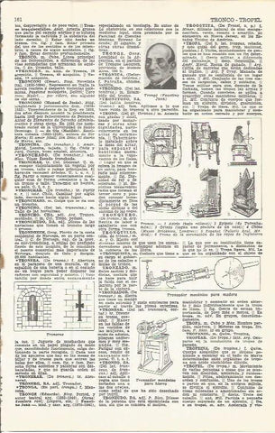 LAMINA 51616: Tipos de tronos