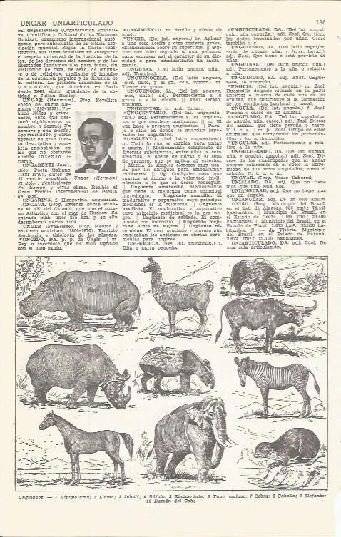 LAMINA 51617: Animales ungulados