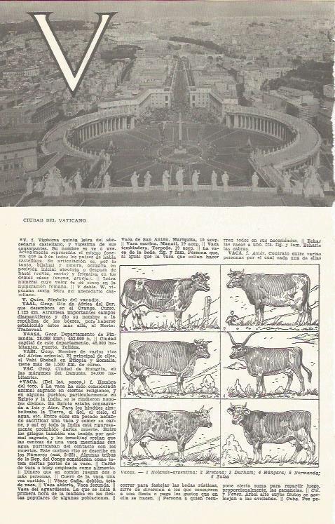 LAMINA 51623: Vista aera de Ciudad del Vaticano