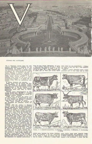 LAMINA 51623: Vista aera de Ciudad del Vaticano