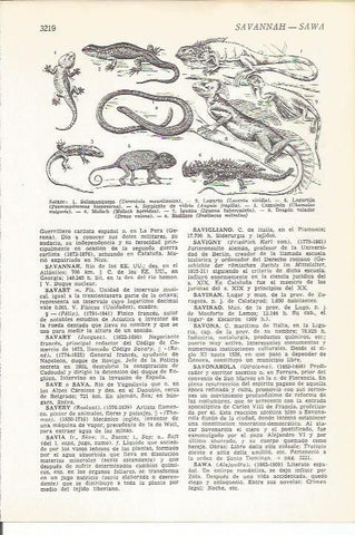 LAMINA 51563: saurio