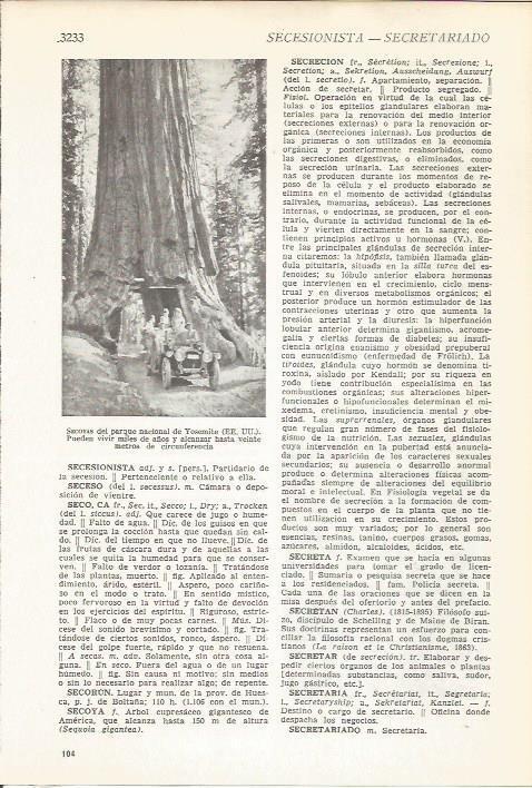LAMINA 51570: Secoyas en el parque de Yosemite, Estados Unidos