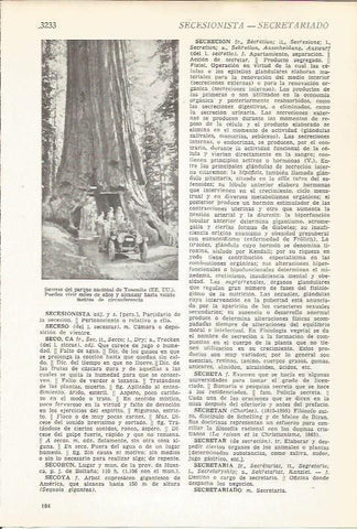 LAMINA 51570: Secoyas en el parque de Yosemite, Estados Unidos
