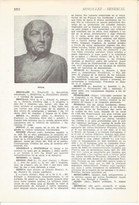 LAMINA 51582: Busto de Seneca