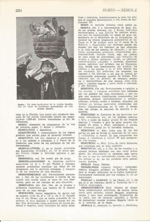 LAMINA 51581: Agricultor de Arabia Saudi