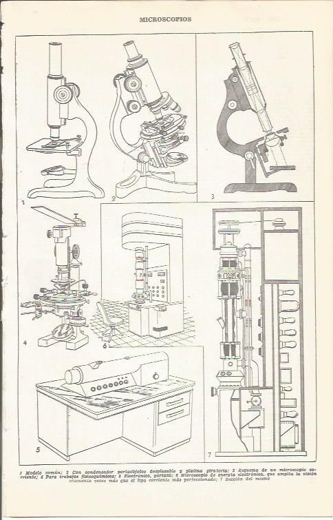 LAMINA 51699: Microscopios