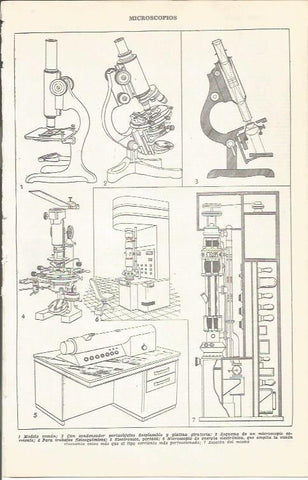 LAMINA 51699: Microscopios