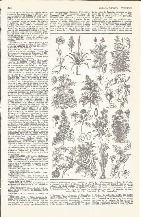 LAMINA 51691: Plantas medicinales
