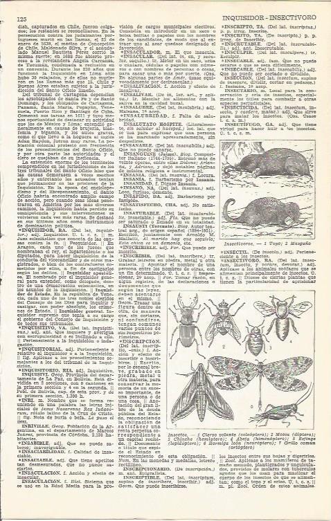 LAMINA 51658: Especies de insectos