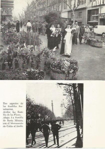 LAMINA 51417: Las Ramblas de Barcelona