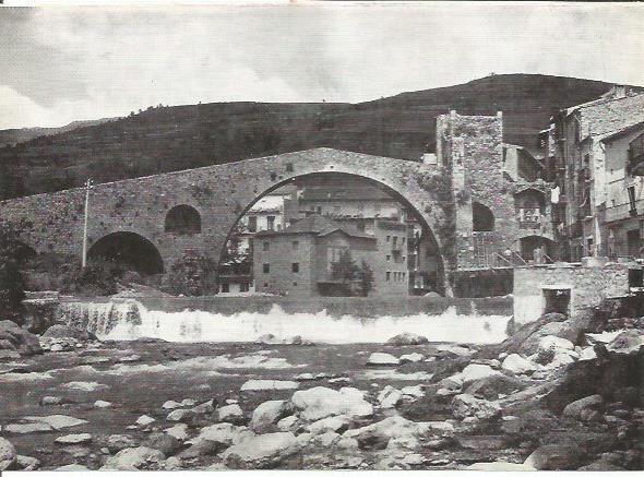 LAMINA 51409: Puente romanico en Camprodon