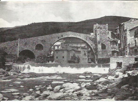 LAMINA 51409: Puente romanico en Camprodon