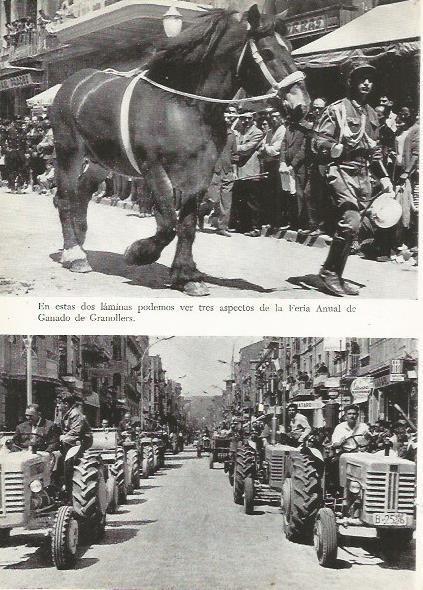 LAMINA 51428: Feria Anual del Ganado en Granollers, Barcelona
