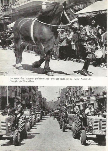 LAMINA 51428: Feria Anual del Ganado en Granollers, Barcelona