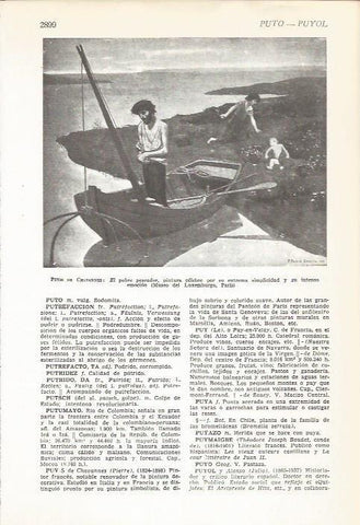 LAMINA 51519: Elpobre pescador, por Puvis de Chavannes