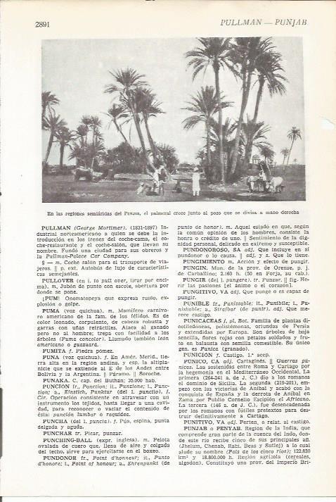 LAMINA 51522: Palmeral en Punjab, India