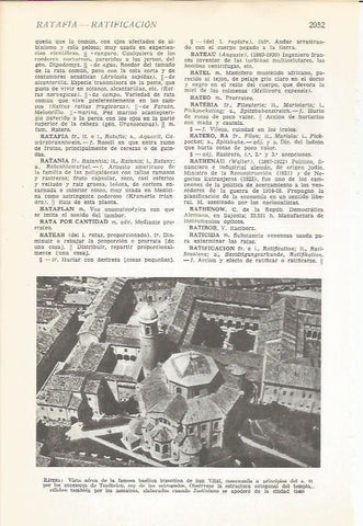 LAMINA 51505: Vista aera de la Basilica de Ravenna, Italia