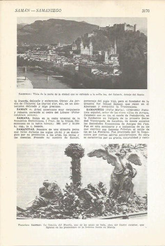 LAMINA 51544: Vista de Salzburgo, Austria