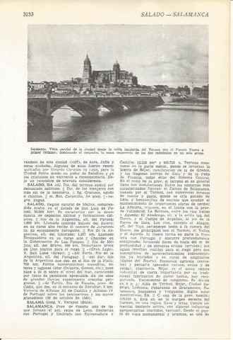 LAMINA 51541: Vista parcial de Salamanca
