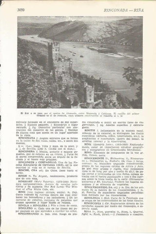 LAMINA 51465: El Rhin a su paso por el centro de Alemania