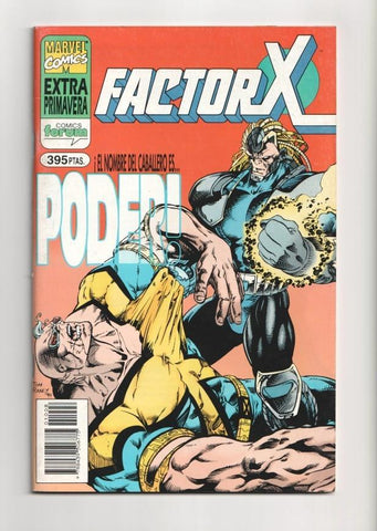 Planeta: Factor X especial primavera 1989: Proyecto maestro