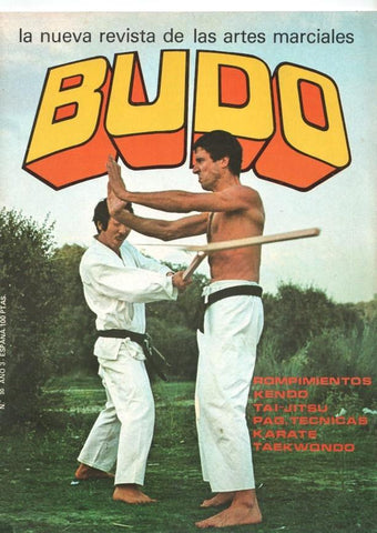 Revista: Budo num 20 año 3 (1979), la nueva revista de las artes marciales. El Penedes: 15 años de artes marciales, Kendo I campeonato Nacional de Kendo