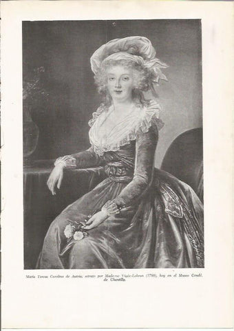 LAMINA 26098: Maria Teresa de Austria, por Madame Vigee-Lebrun