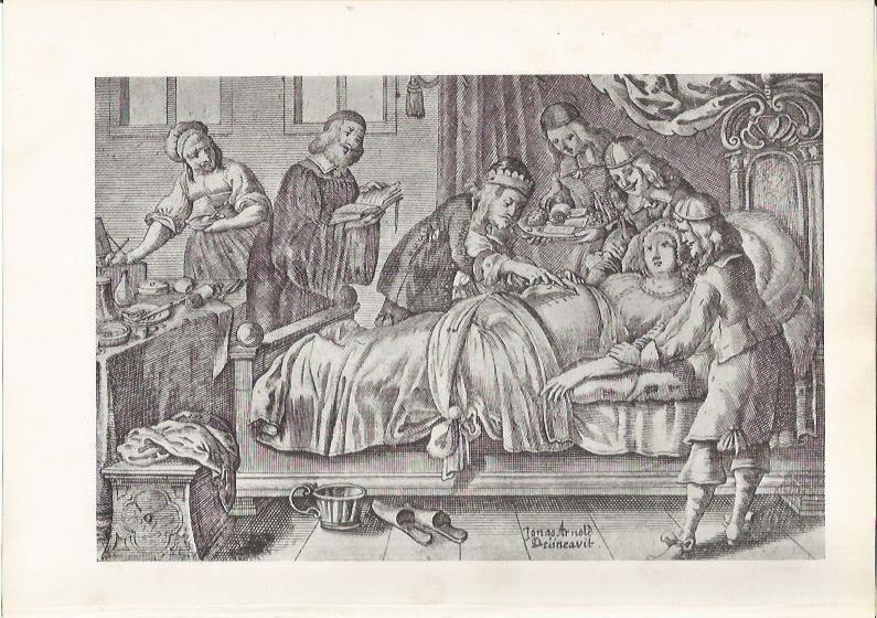 LAMINA 26058: Dibujo de Jonas Arnold