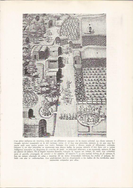LAMINA 26087: Aldea de America colonail