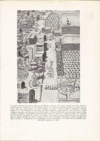 LAMINA 26087: Aldea de America colonail