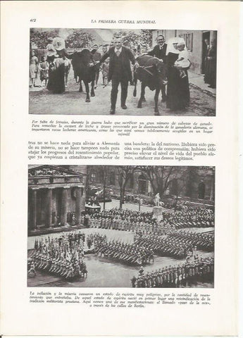LAMINA 26199: Desfile de El paso de la Oca en Berlin