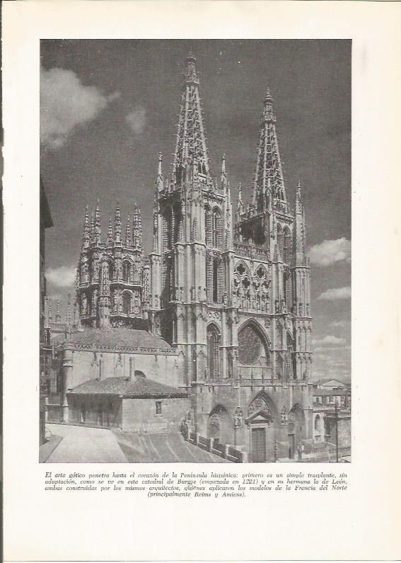 LAMINA 25914: Catedral de Burgos