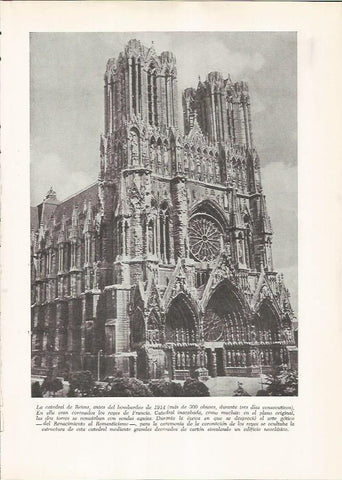LAMINA 25908: Catedral de Reims