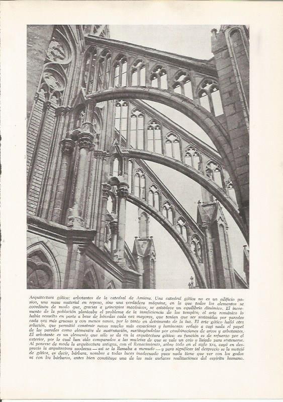 LAMINA 25905: Catedral de Amiens