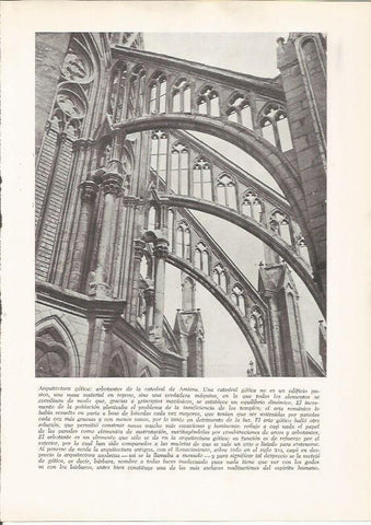 LAMINA 25905: Catedral de Amiens