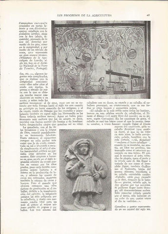LAMINA 25866: Campesinos europeos  y pastor